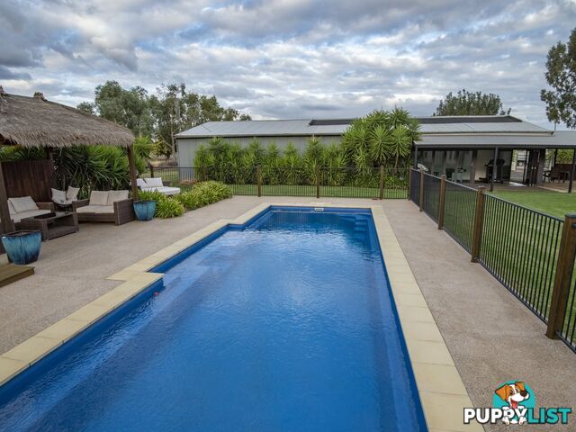 36 Bombardieri Lane SWAN HILL VIC 3585