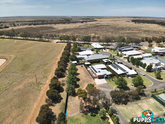 36 Kidman Reid Drive MURRAY DOWNS NSW 2734