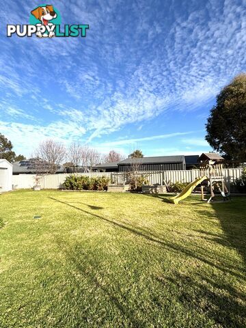23 Boobialla Drive SWAN HILL VIC 3585