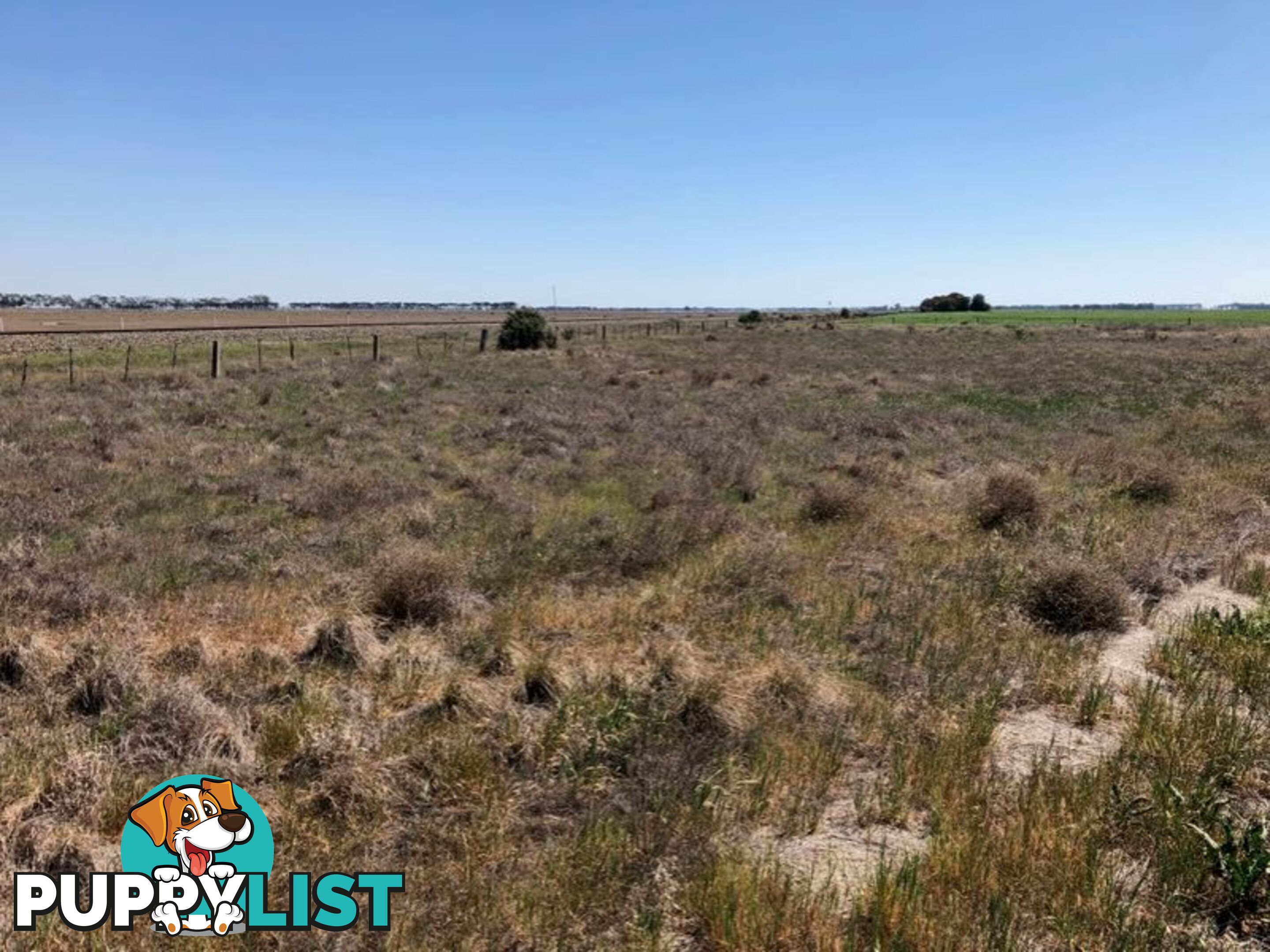 Lot 1 Kerang-Macorna Road MACORNA VIC 3579