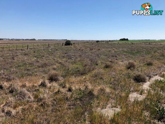 Lot 1 Kerang-Macorna Road MACORNA VIC 3579