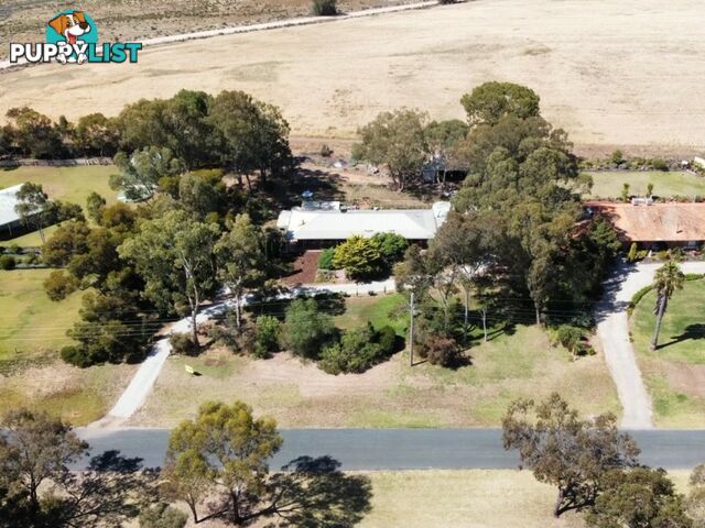 419 Lakeside Drive LAKE BOGA VIC 3584