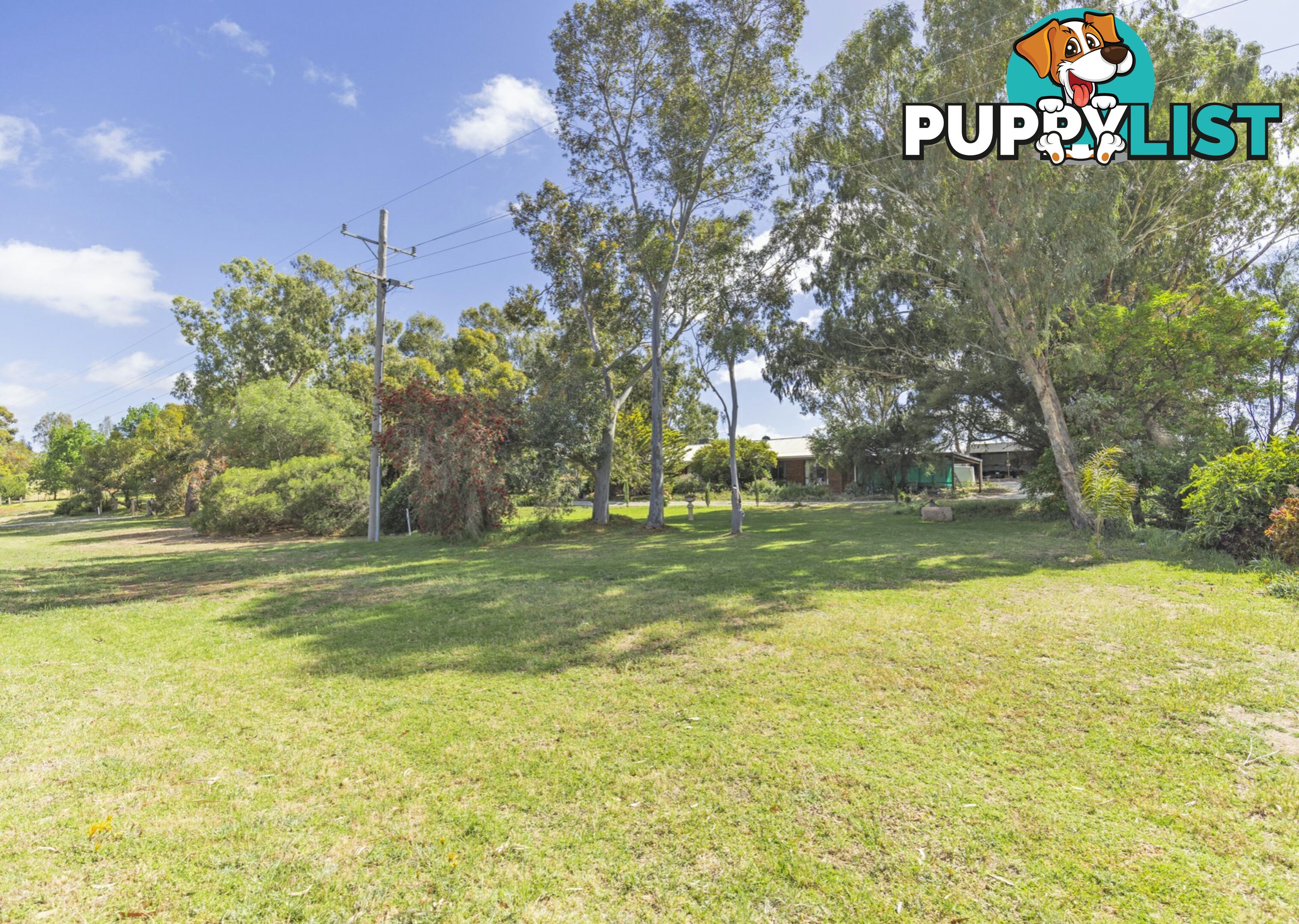 419 Lakeside Drive LAKE BOGA VIC 3584