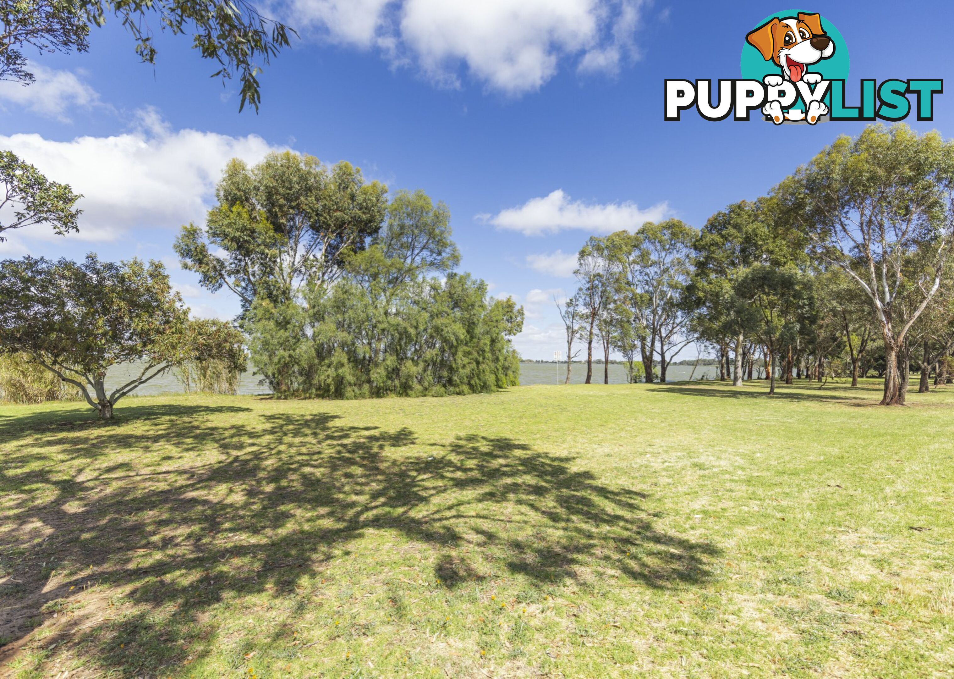 419 Lakeside Drive LAKE BOGA VIC 3584