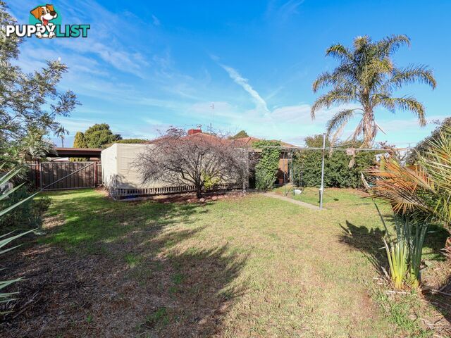 18 Logan Street SWAN HILL VIC 3585