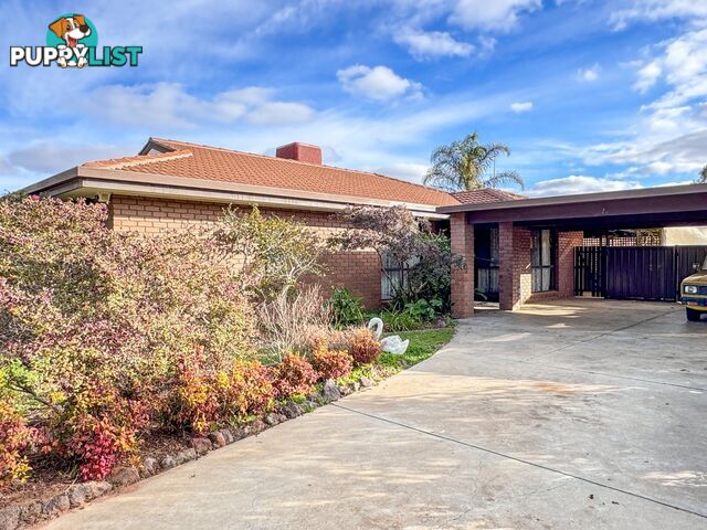 18 Logan Street SWAN HILL VIC 3585