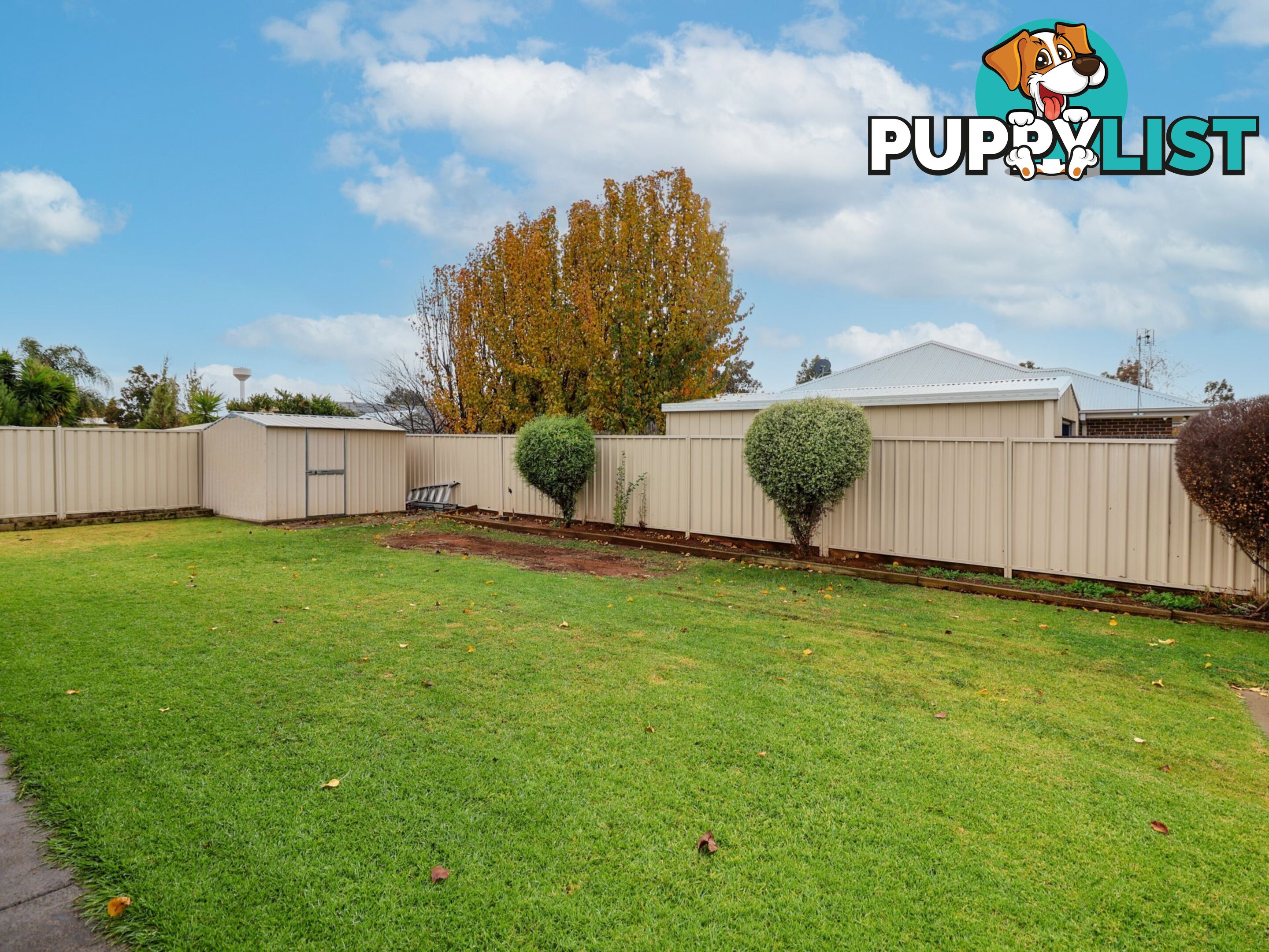 2 Dundas Lane SWAN HILL VIC 3585