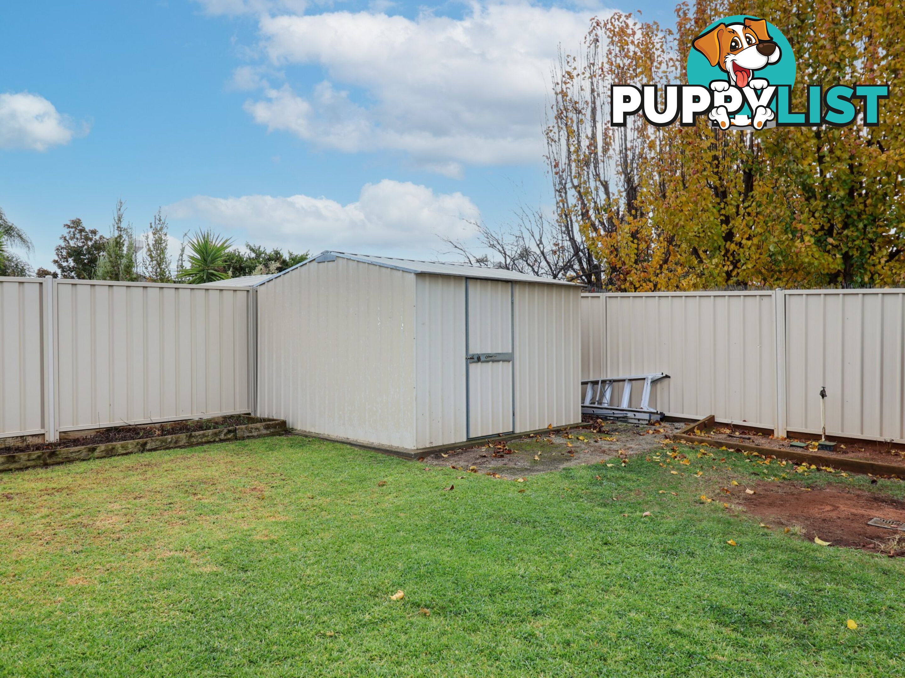 2 Dundas Lane SWAN HILL VIC 3585