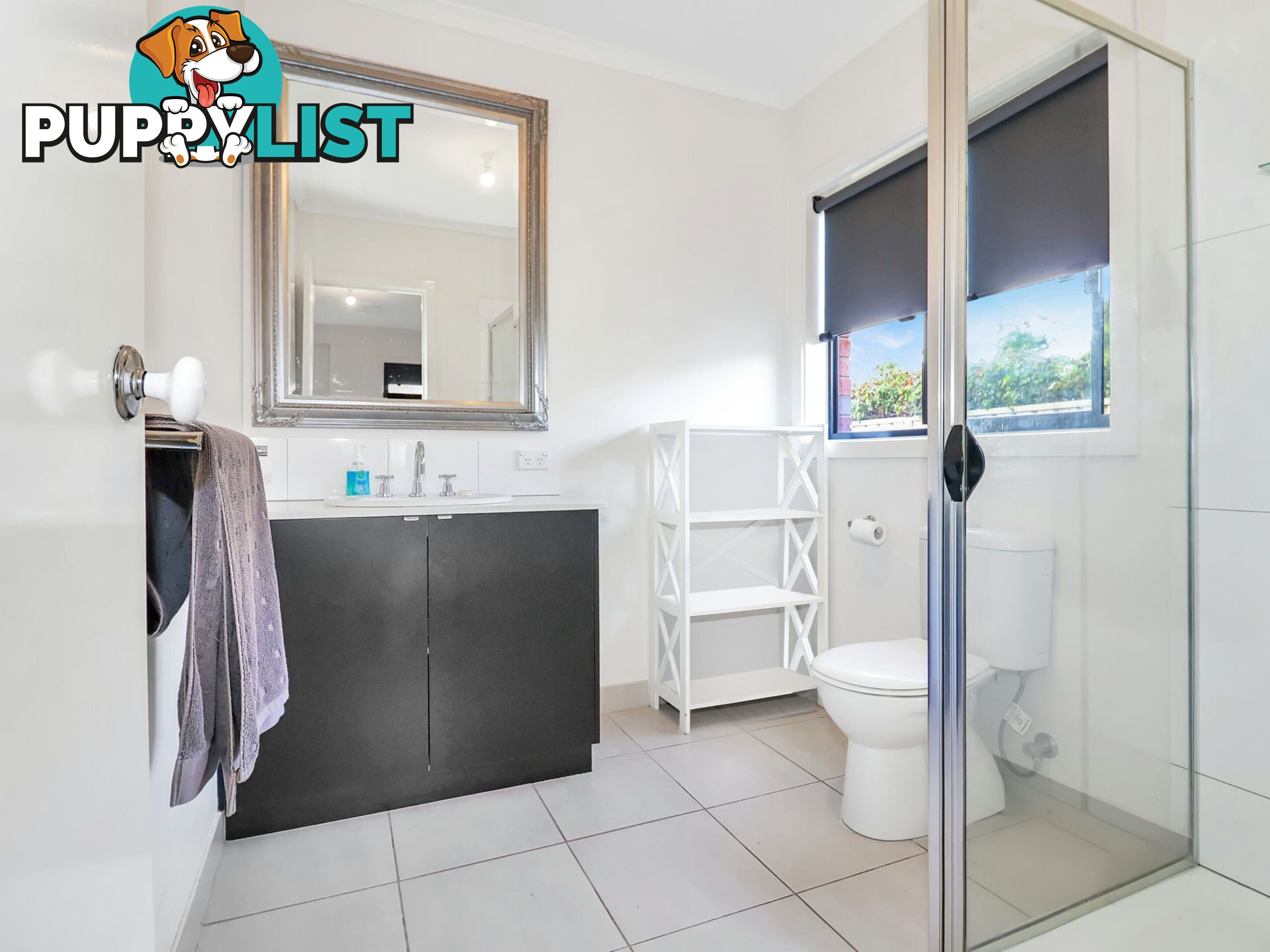 2 Dundas Lane SWAN HILL VIC 3585