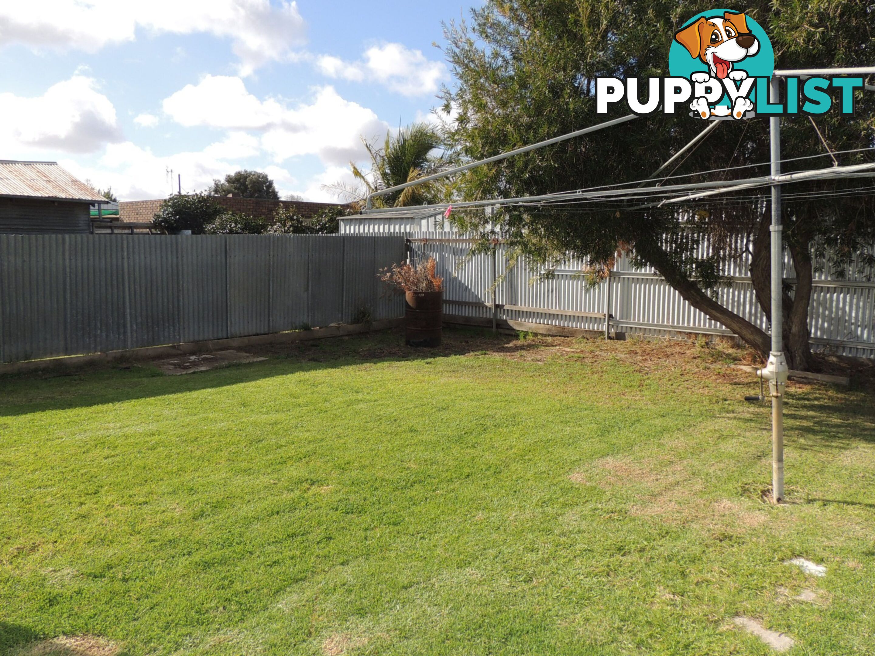 103 Murlong Street SWAN HILL VIC 3585