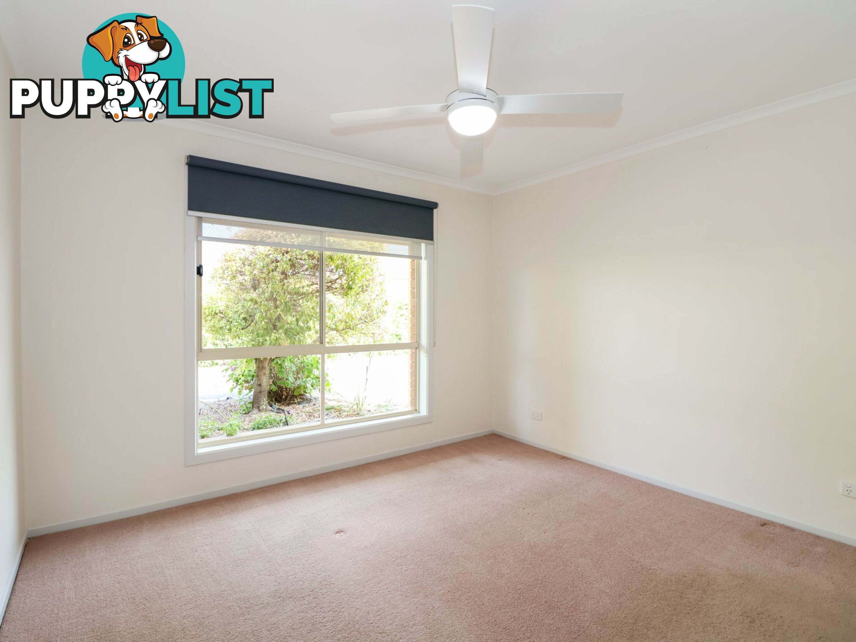 Unit 2/59 Wattie Street SWAN HILL VIC 3585