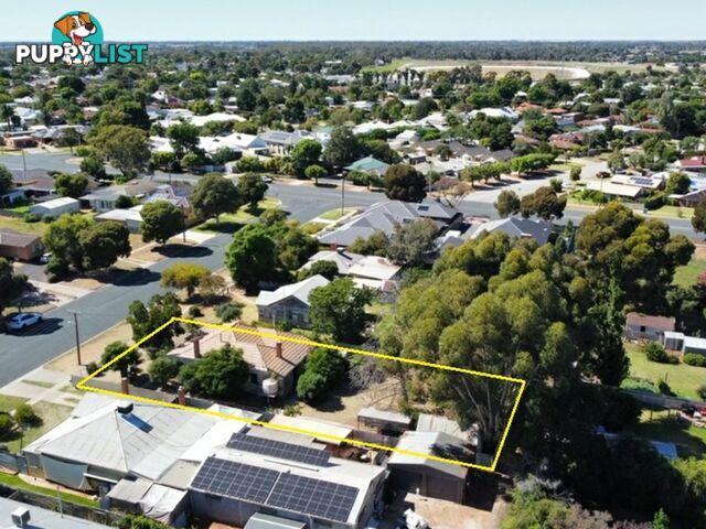 22 Chisholm Street SWAN HILL VIC 3585