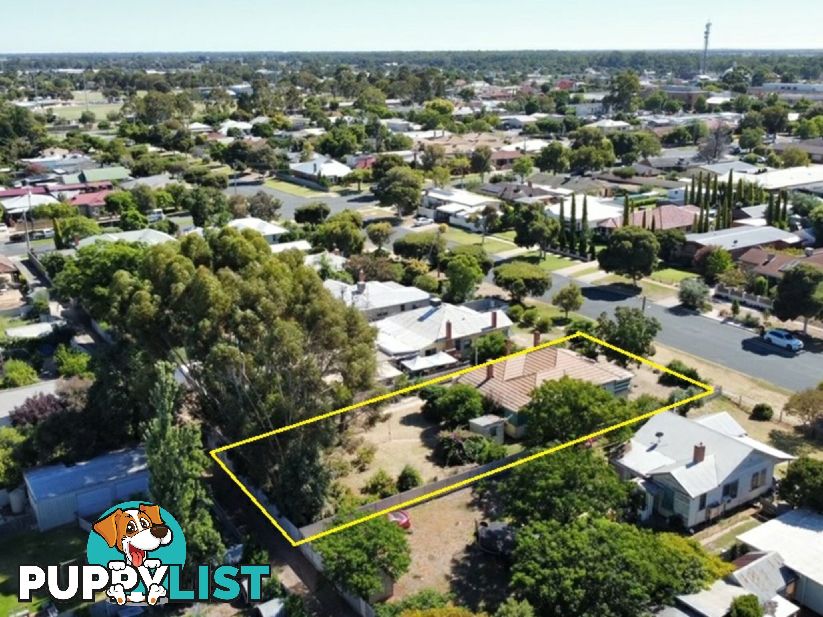 22 Chisholm Street SWAN HILL VIC 3585