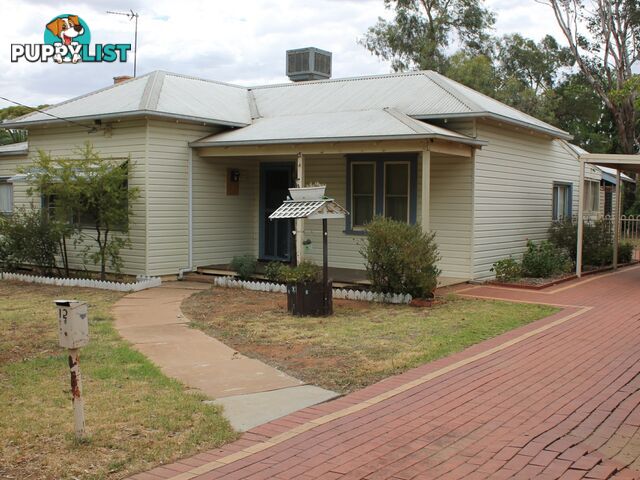 12 Long Street SWAN HILL VIC 3585