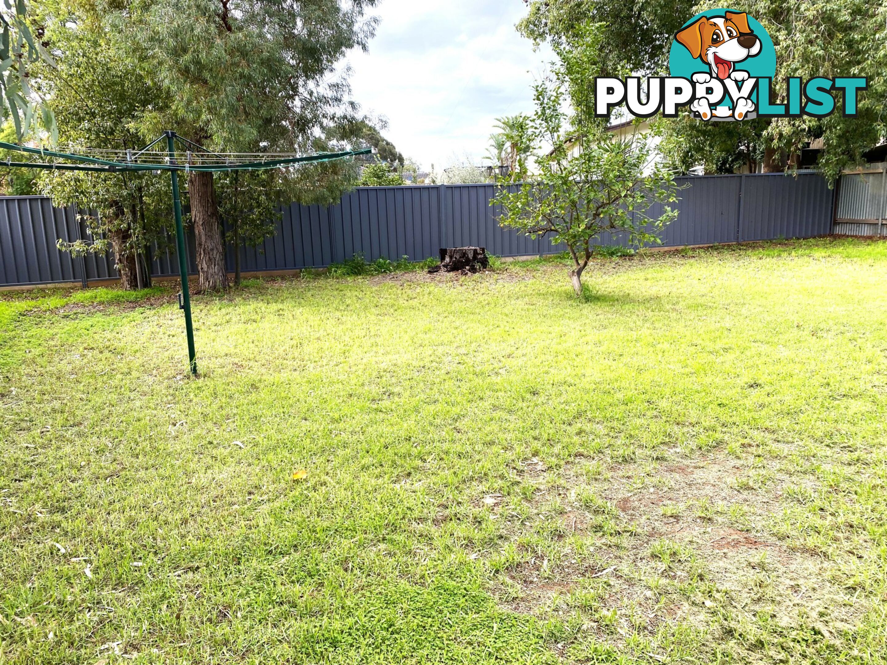 12 Long Street SWAN HILL VIC 3585