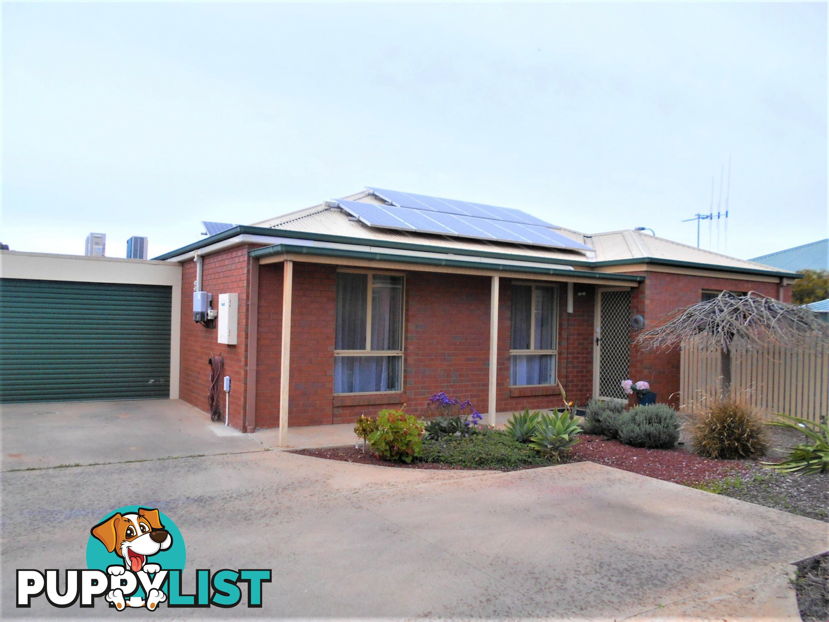 3/6 Cedar Court SWAN HILL VIC 3585