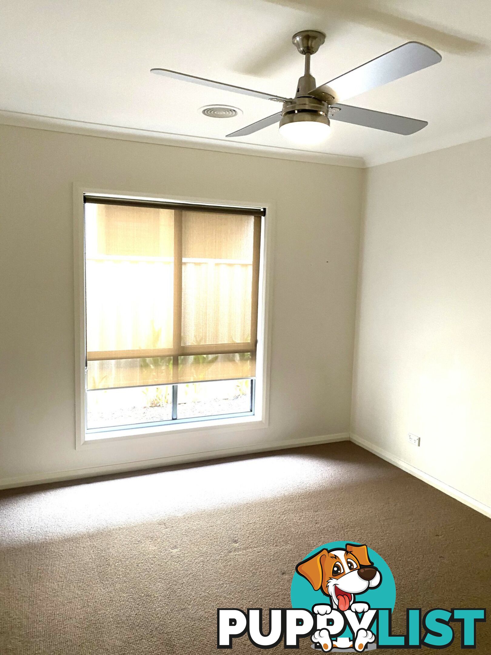 432 Campbell Street SWAN HILL VIC 3585