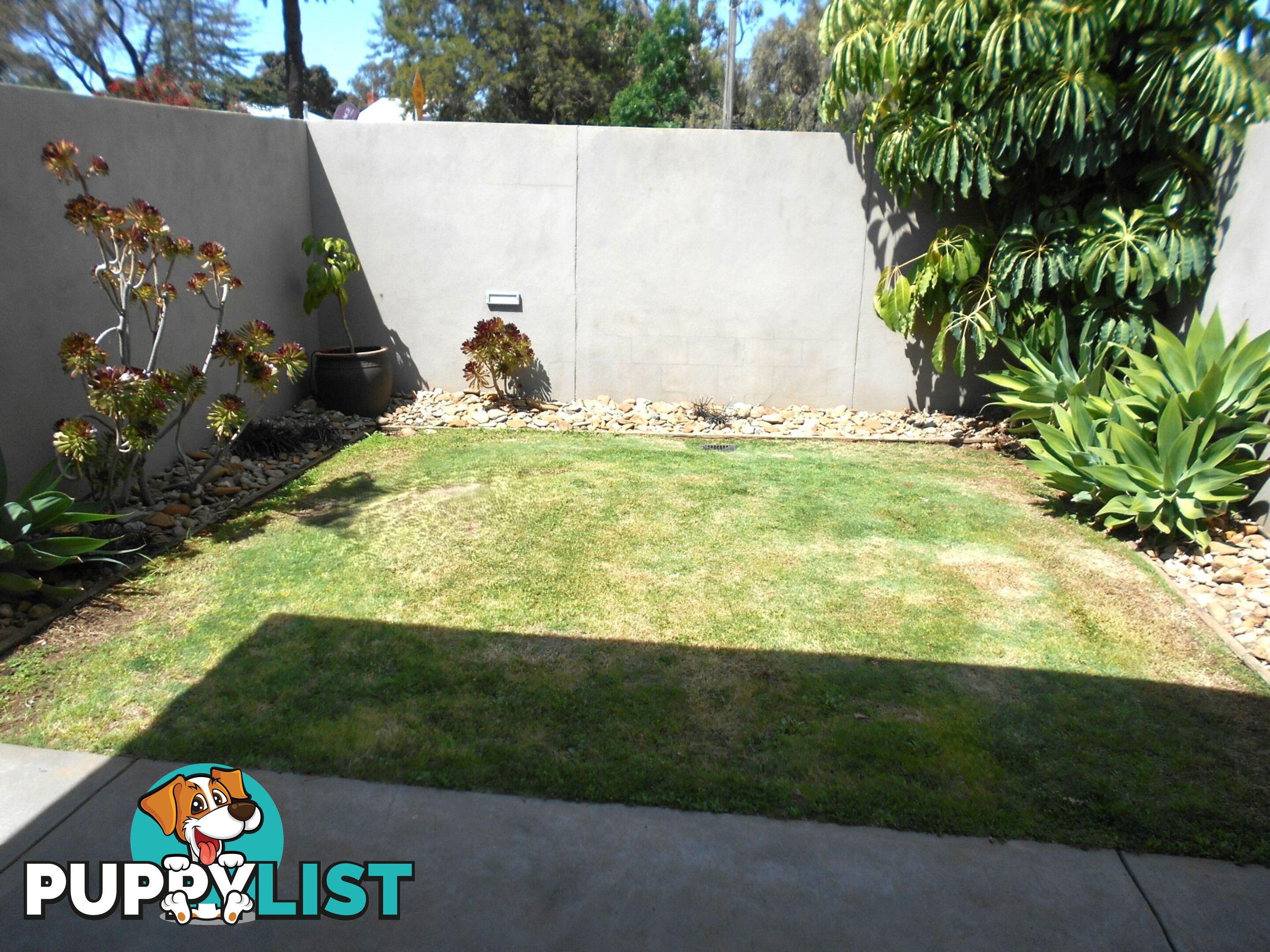 432 Campbell Street SWAN HILL VIC 3585