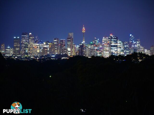 407/390-398 Pacific Hwy LANE COVE NSW 2066