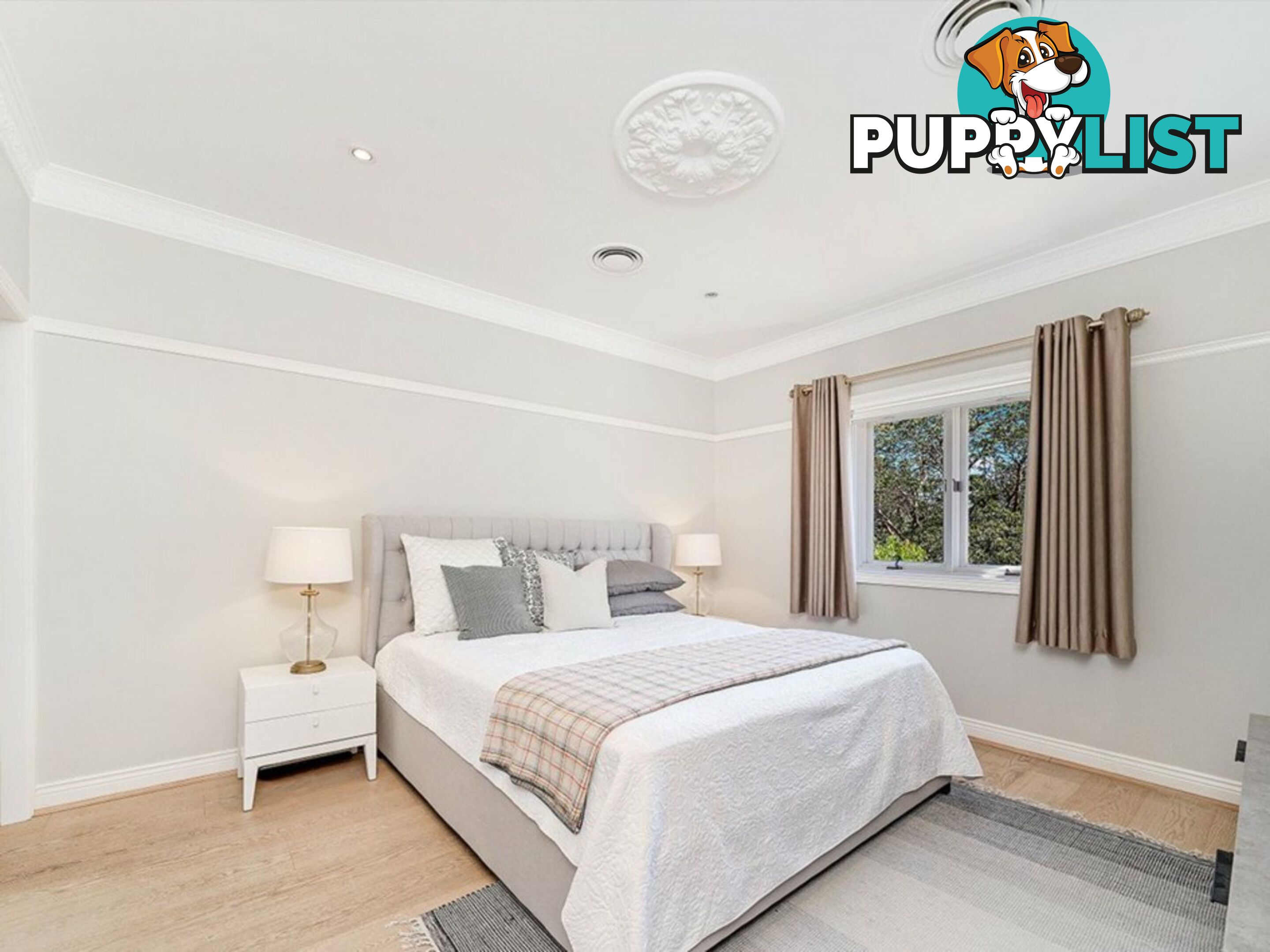 20 Bromborough Street ROSEVILLE NSW 2069