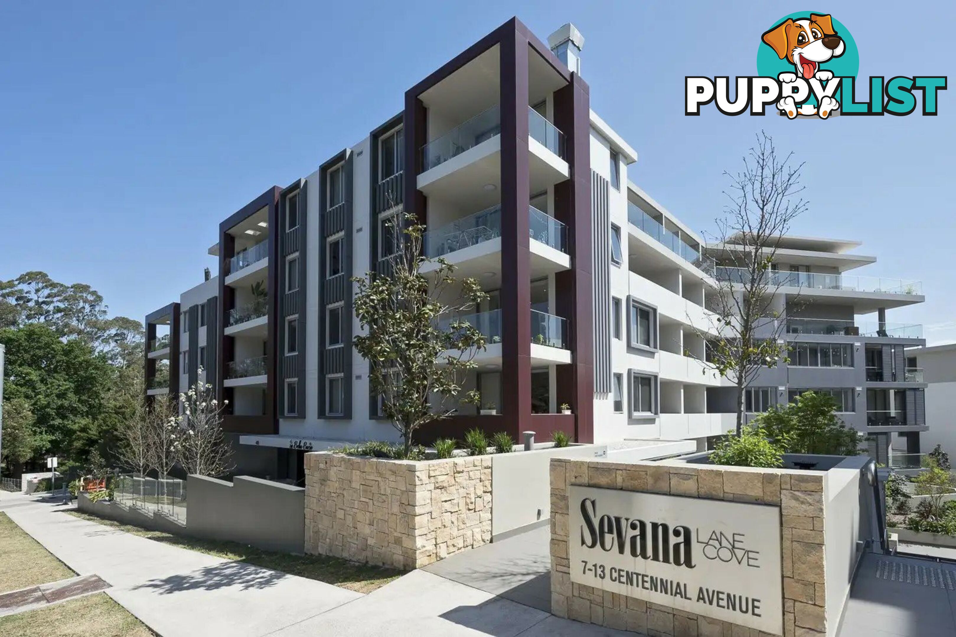 302B/7-13 Centennial Avenue LANE COVE NSW 2066