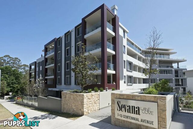 302B/7-13 Centennial Avenue LANE COVE NSW 2066