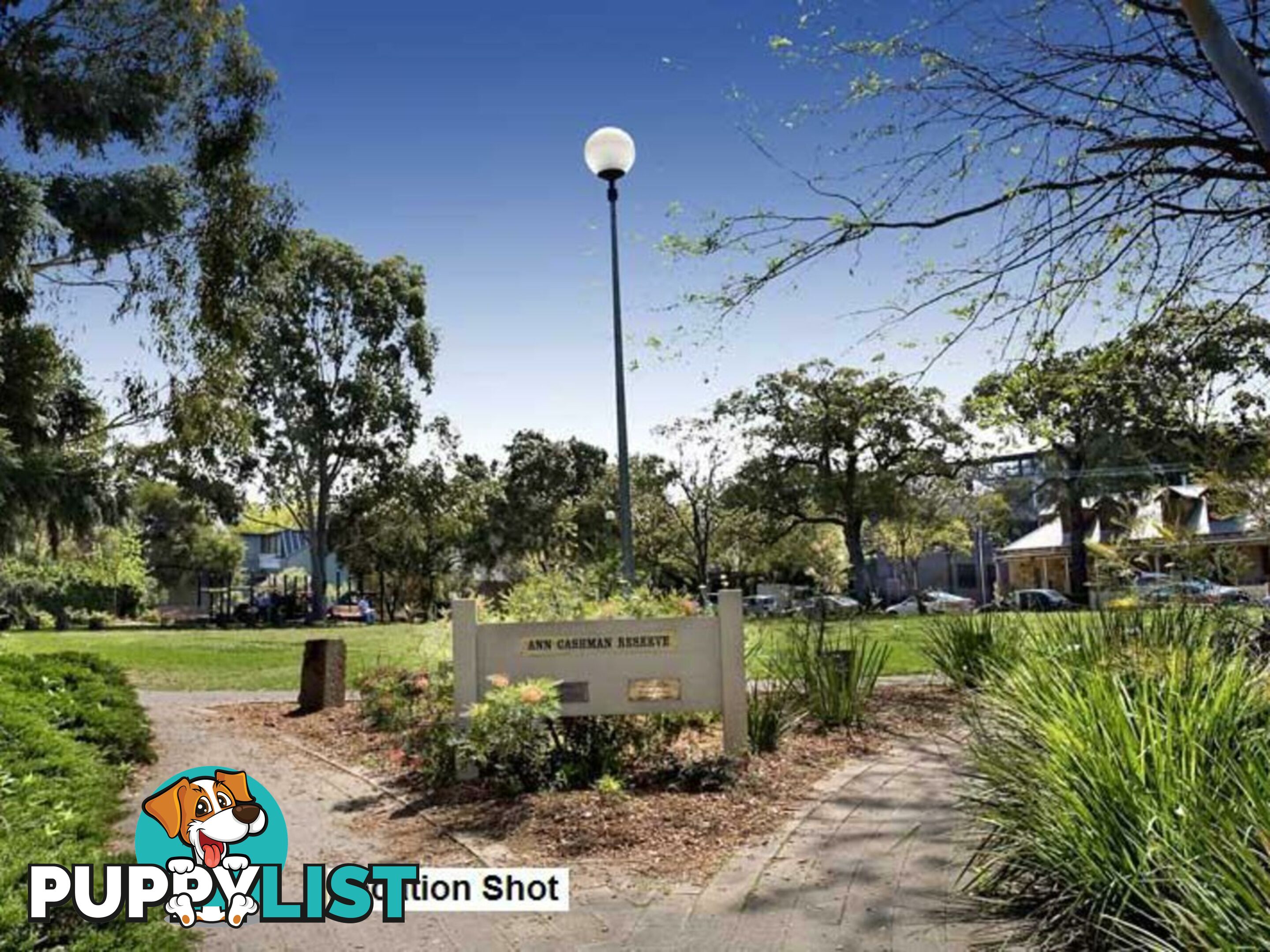 12 Carrington St BALMAIN NSW 2041