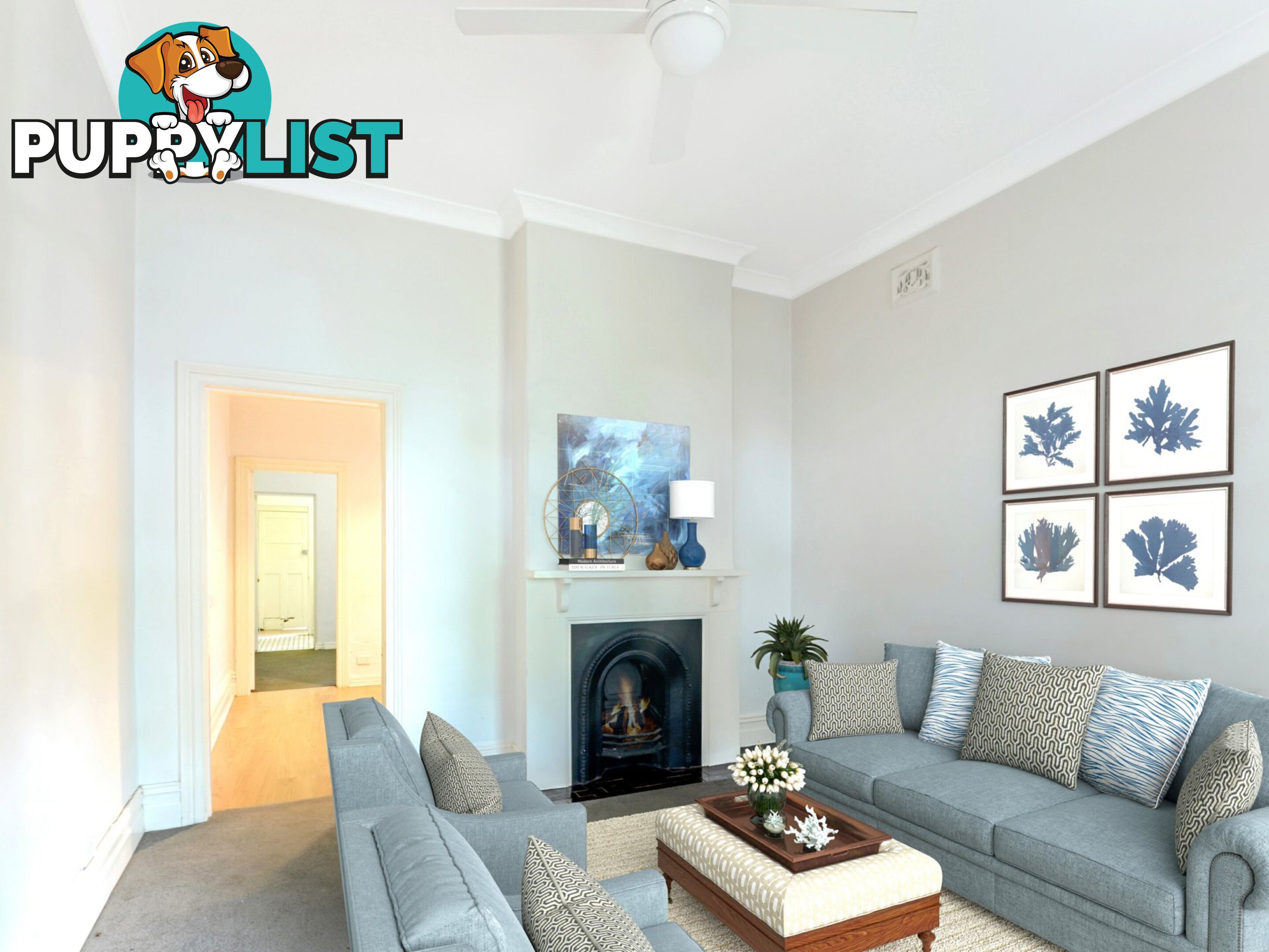 12 Carrington St BALMAIN NSW 2041
