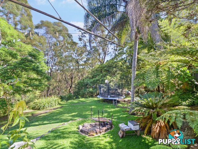 33 Ulm Street LANE COVE NSW 2066