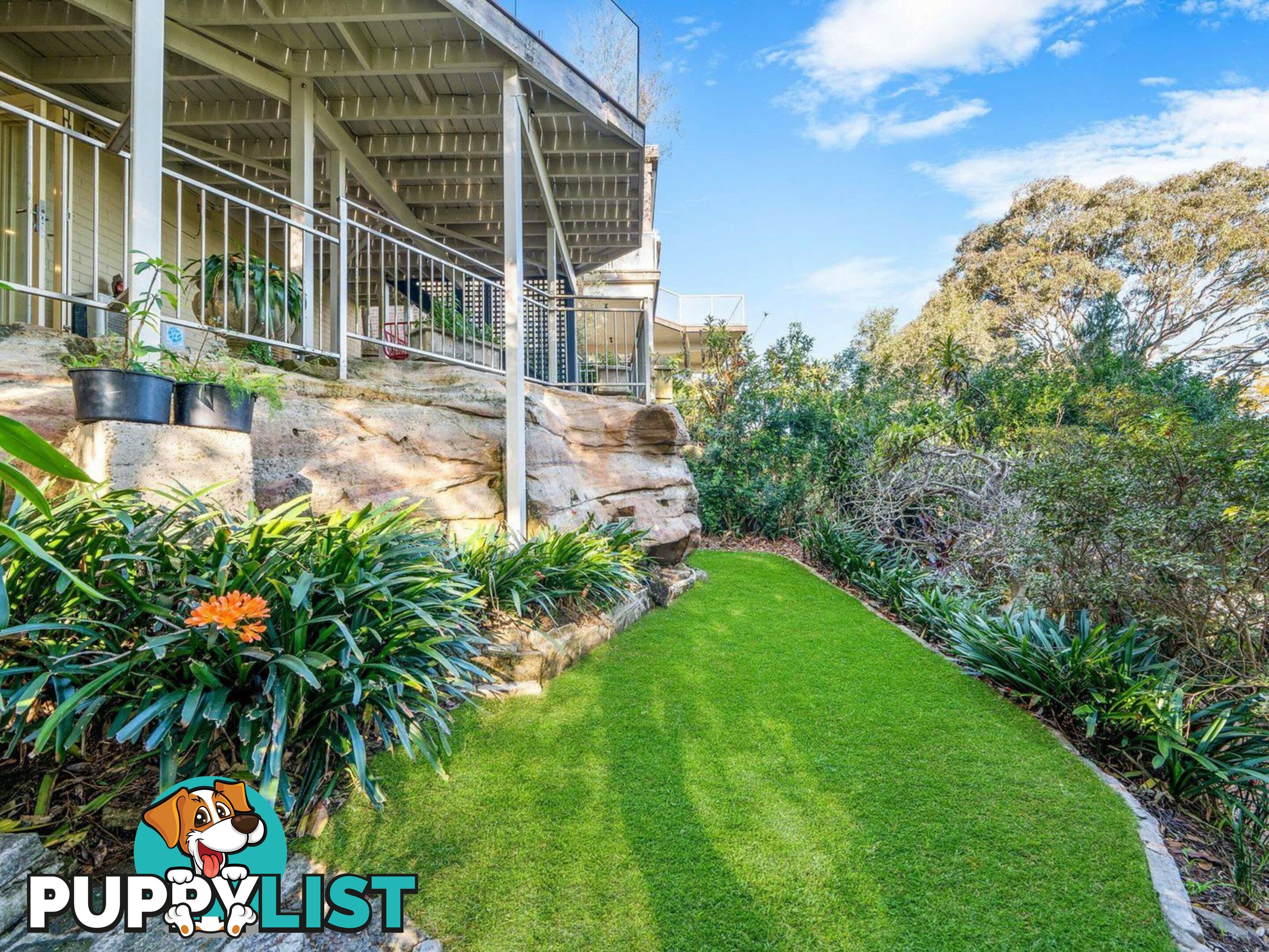 31 Northwood Road NORTHWOOD NSW 2066