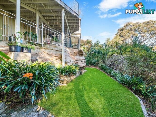 31 Northwood Road NORTHWOOD NSW 2066