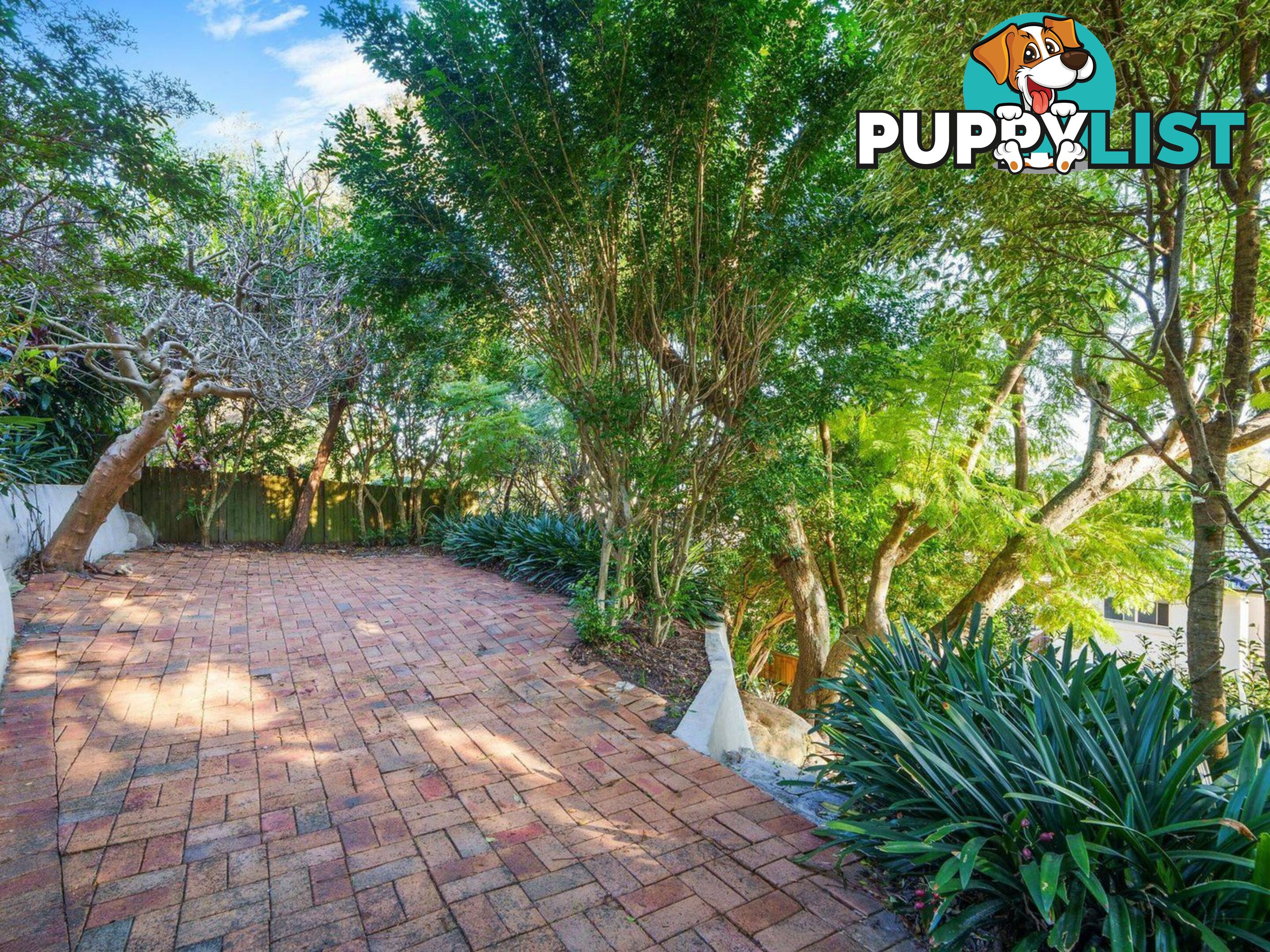 31 Northwood Road NORTHWOOD NSW 2066