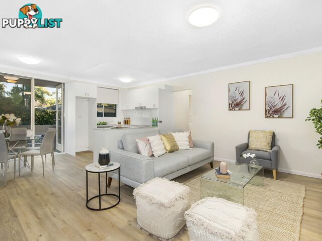 11/54 Epping Rd LANE COVE NSW 2066