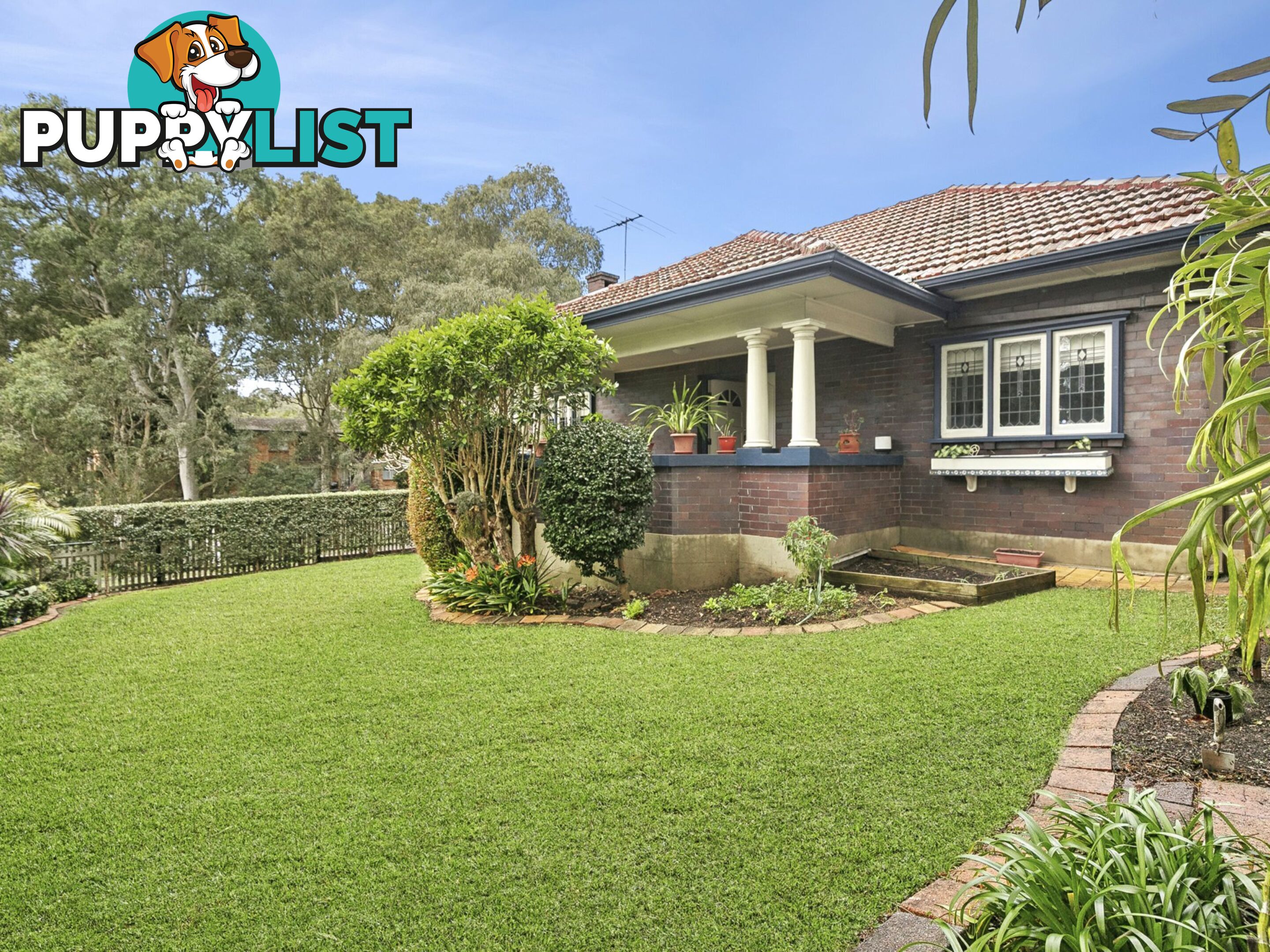 80 Finlayson Street LANE COVE NSW 2066