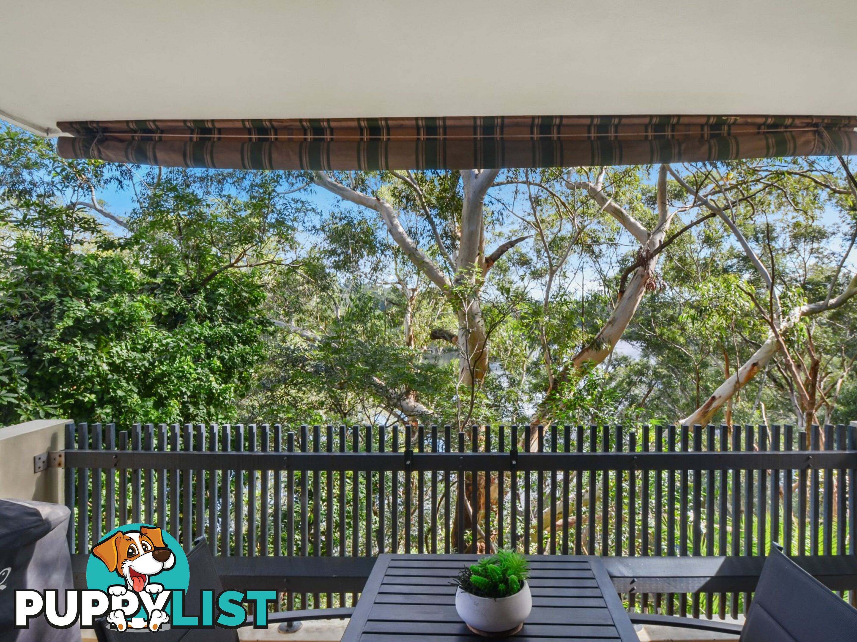 5/299 Burns Bay Road LANE COVE NSW 2066