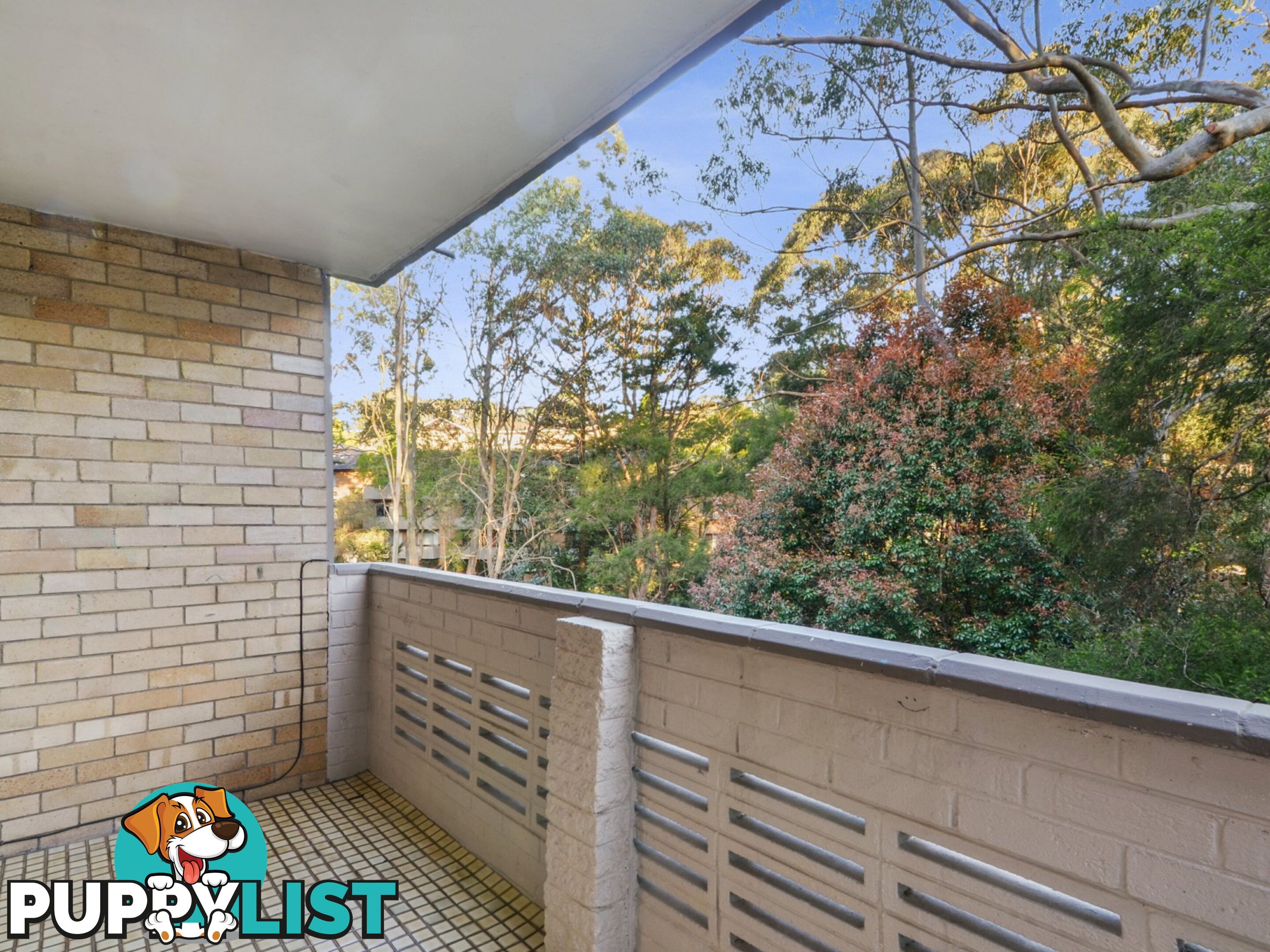 30/6 Murray Street LANE COVE NSW 2066