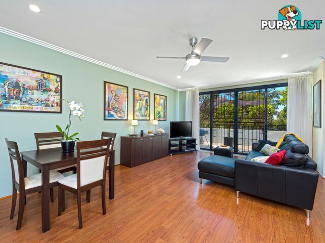 6/238 Longueville Road LANE COVE NSW 2066