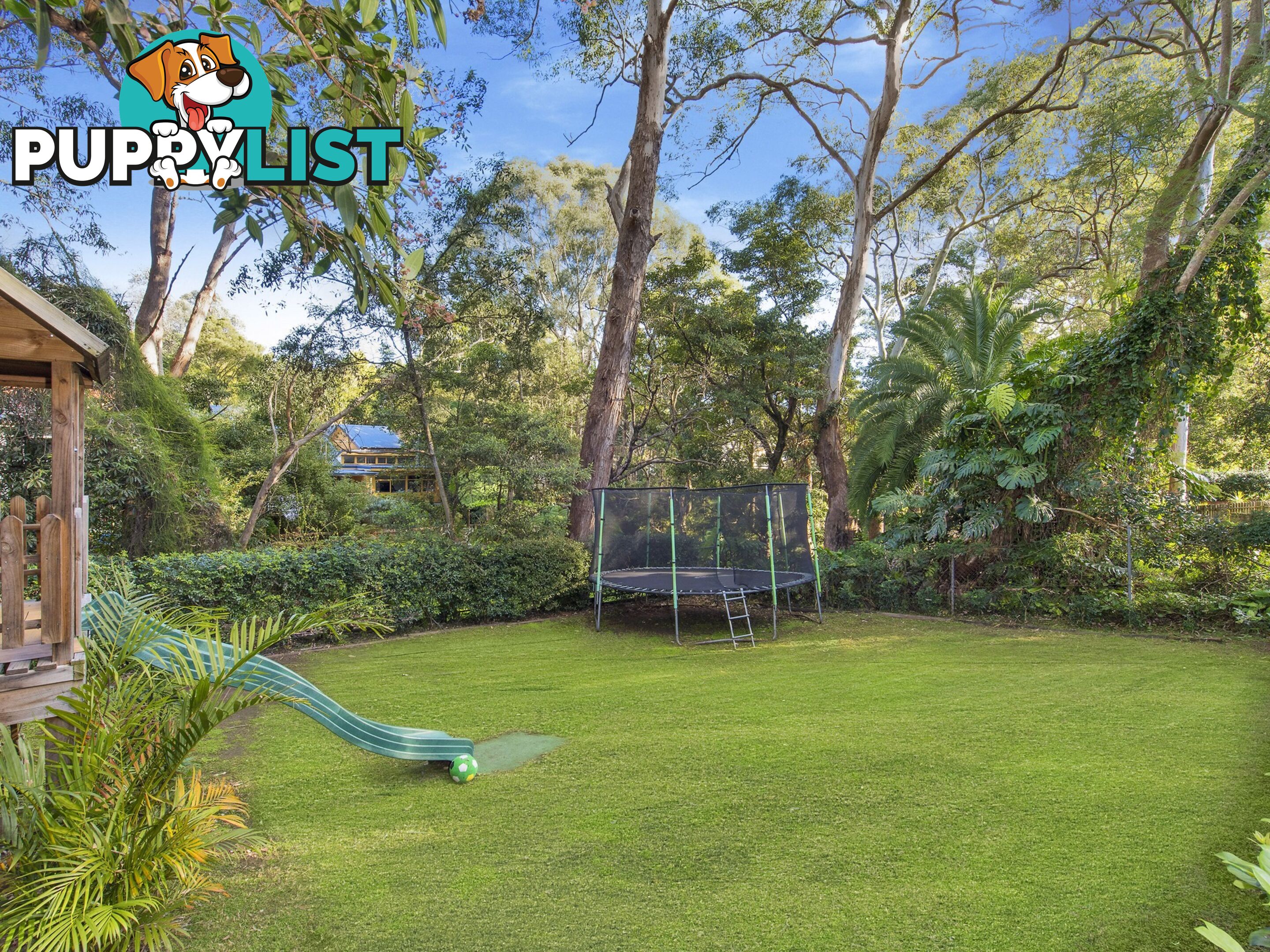 16 Roslyn Street LANE COVE NSW 2066