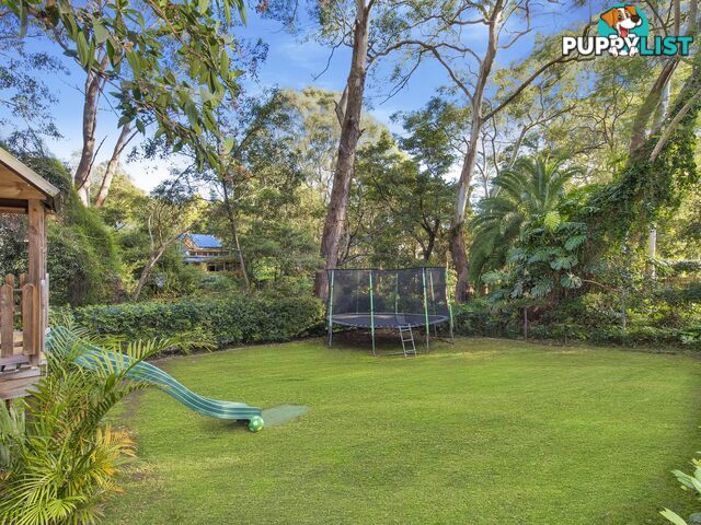 16 Roslyn Street LANE COVE NSW 2066