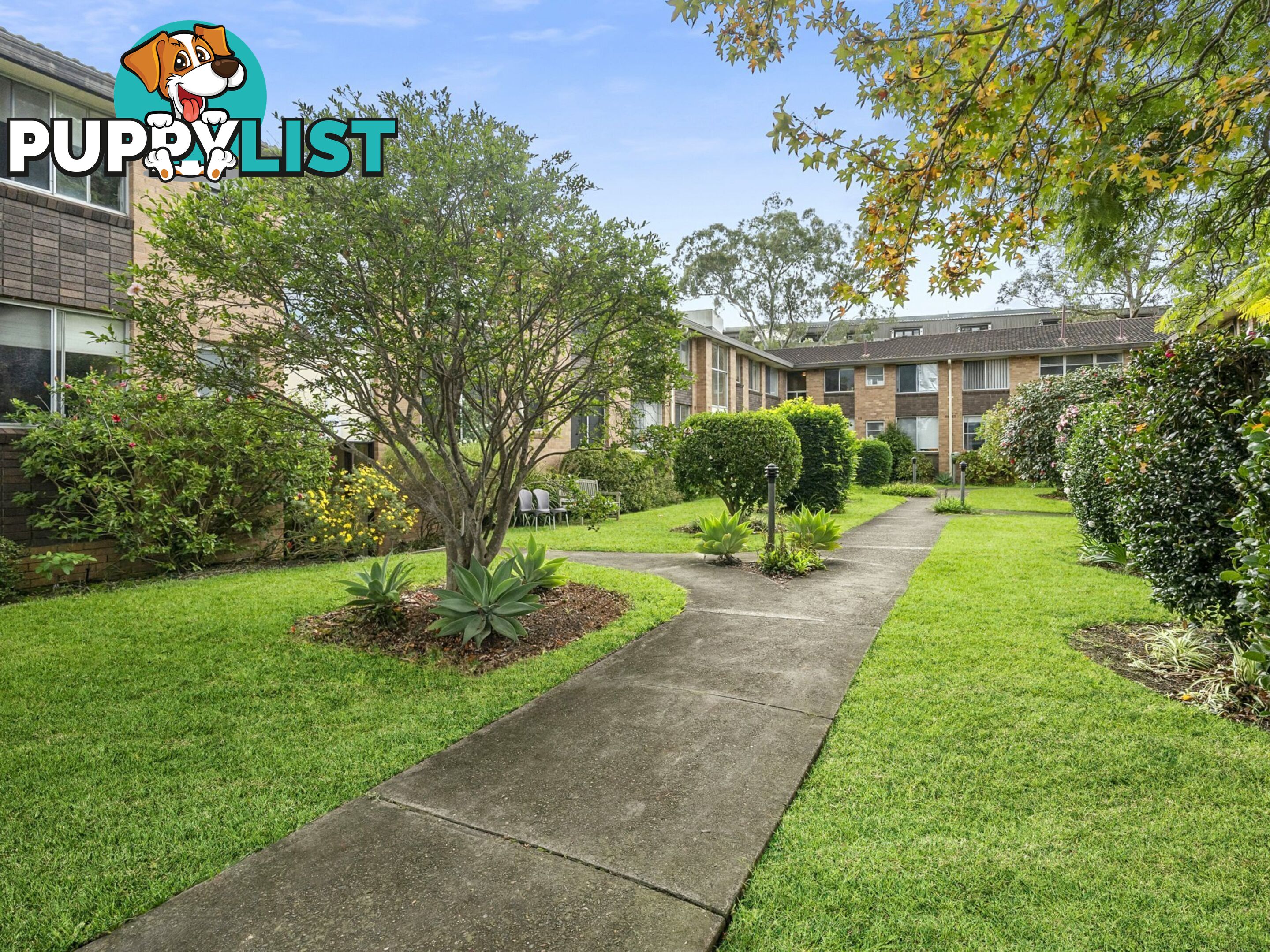 4/51-53 Burns Bay Road LANE COVE NSW 2066