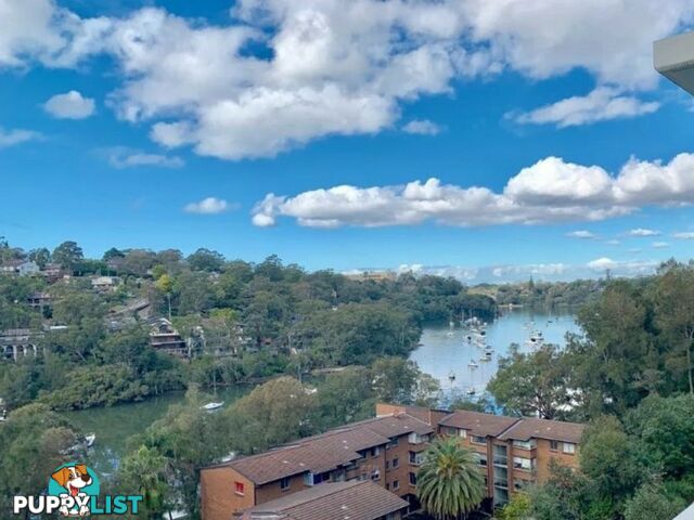 303/9 Waterview Drive LANE COVE NSW 2066