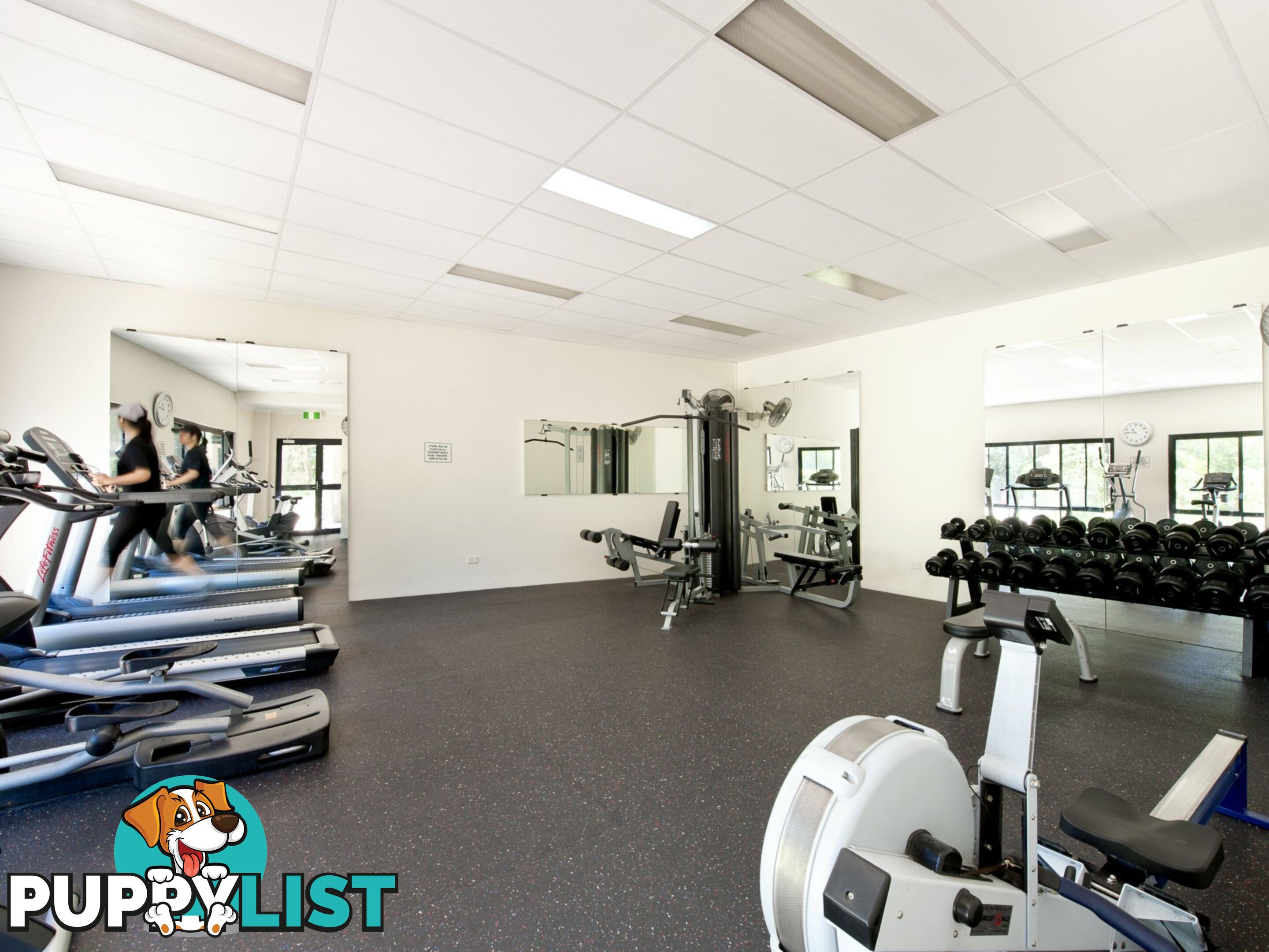 7/6 Taylors Dr LANE COVE NSW 2066