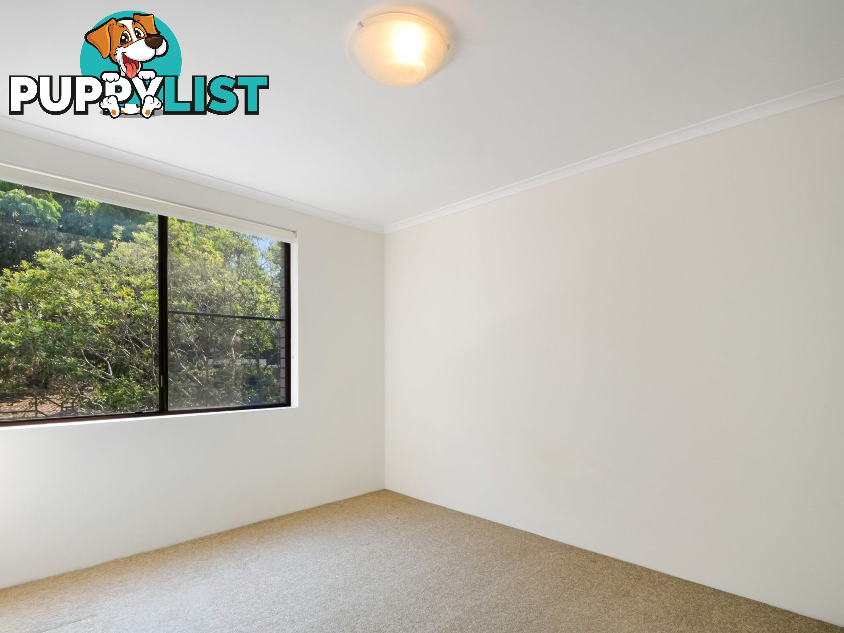 14/66 Helen Street LANE COVE NSW 2066