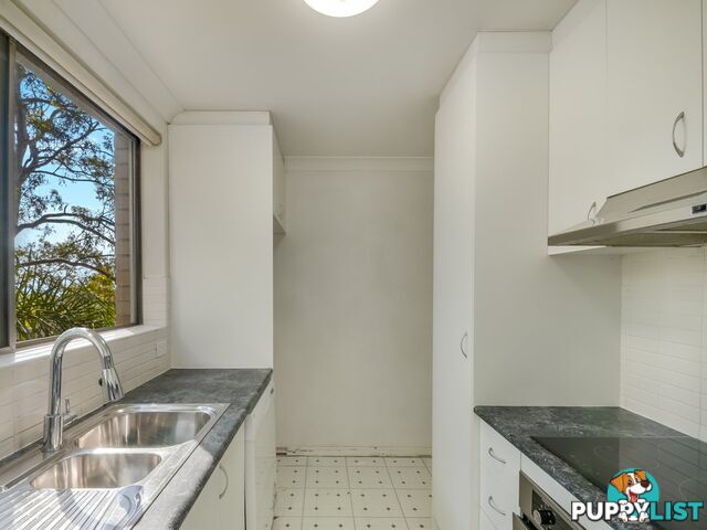 13/446 Pacific Highway LANE COVE NSW 2066