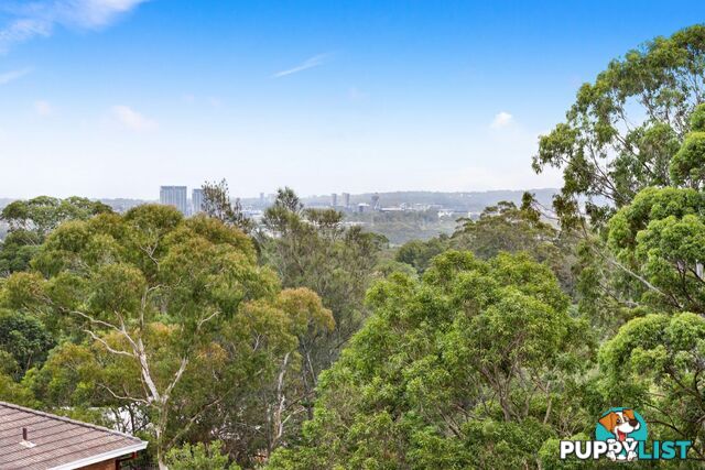 13/446 Pacific Highway LANE COVE NSW 2066