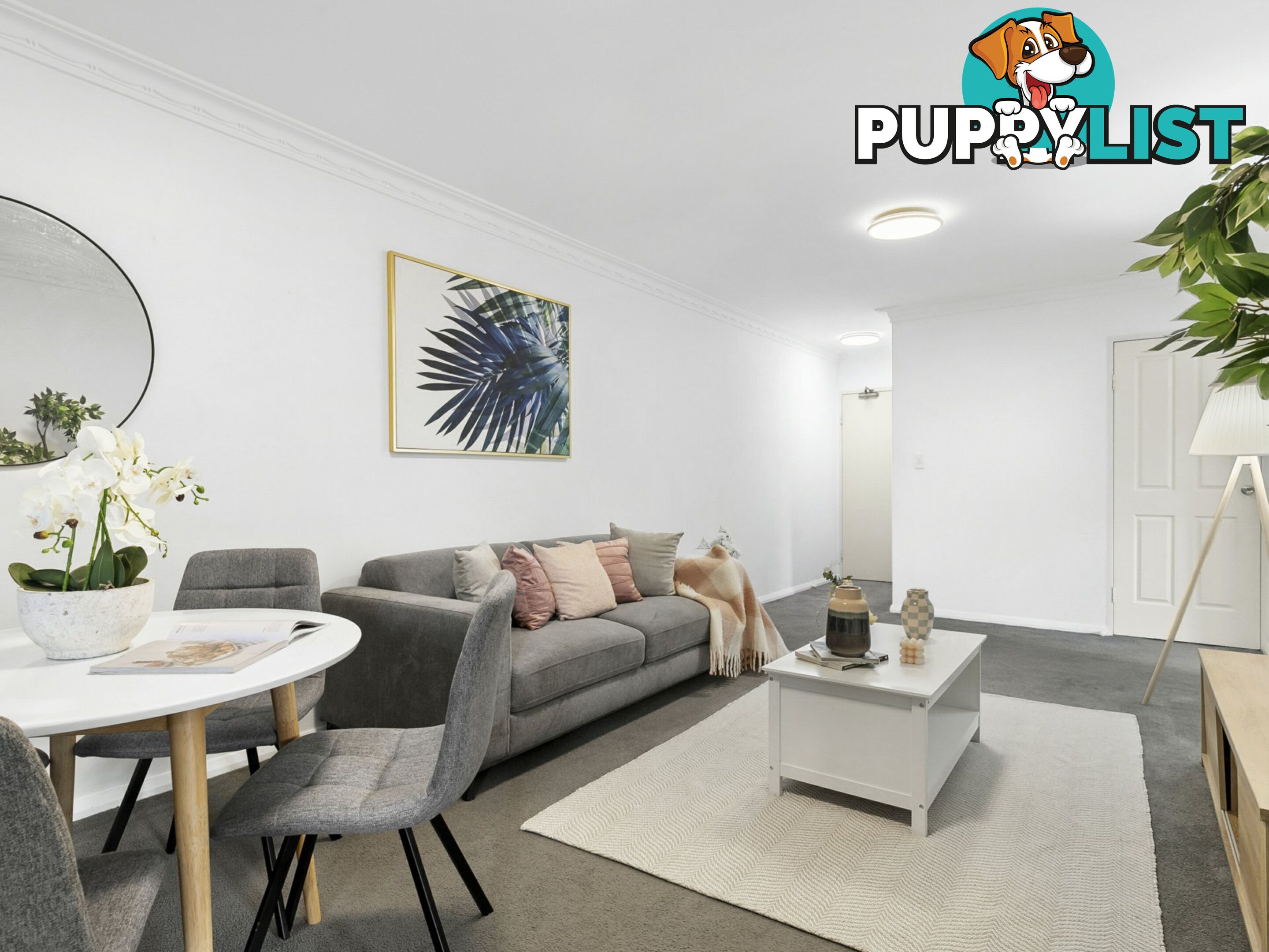 17/1-5 Penkivil Street WILLOUGHBY NSW 2068