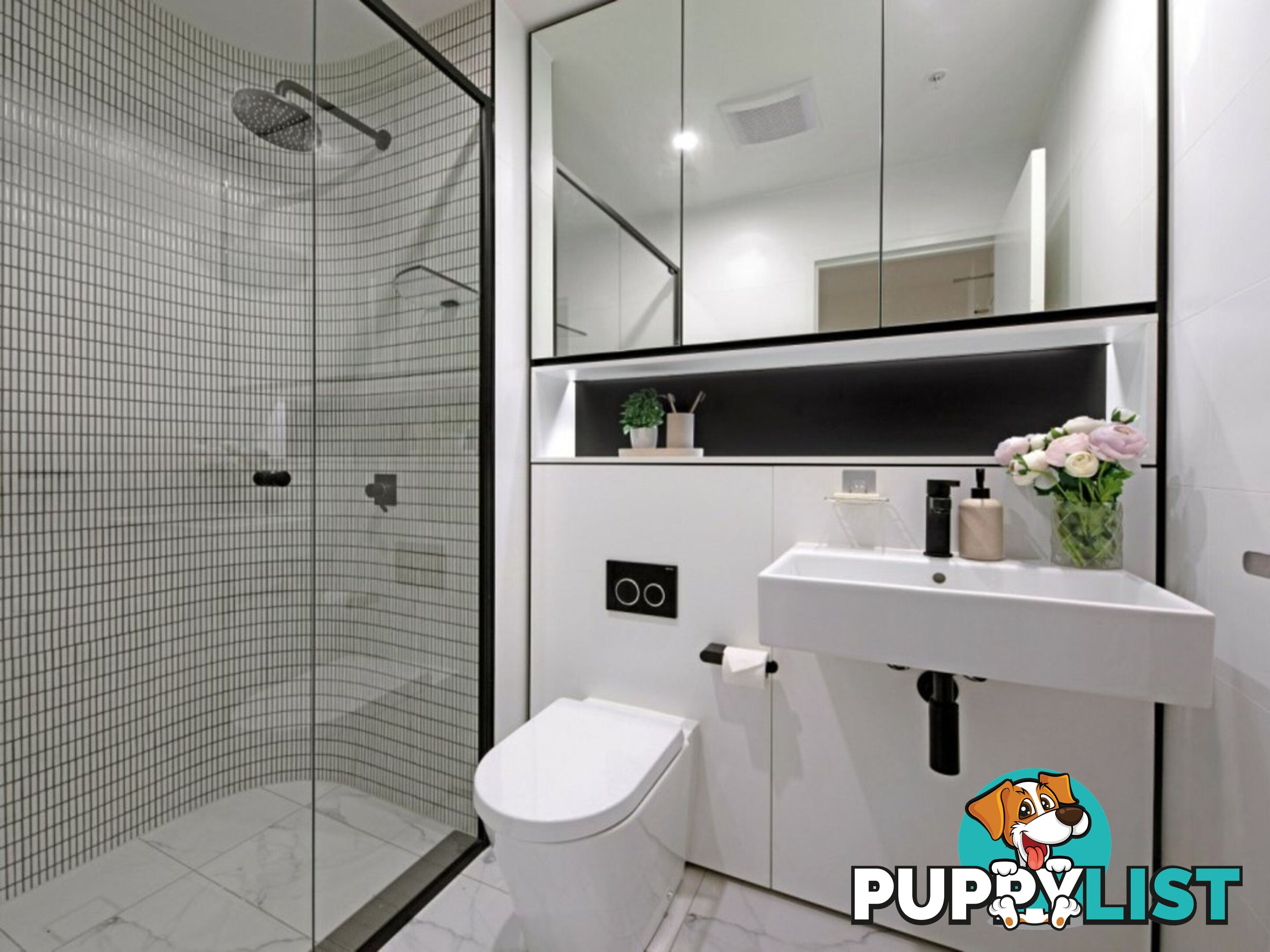 702/2a Wharf Road MELROSE PARK NSW 2114