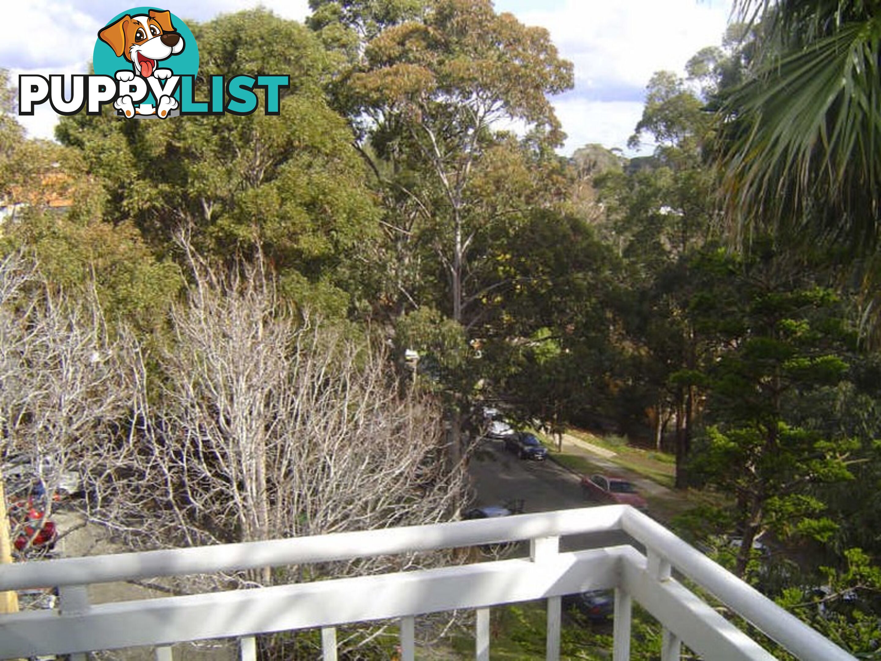 60/450 Pacific Hwy LANE COVE NSW 2066