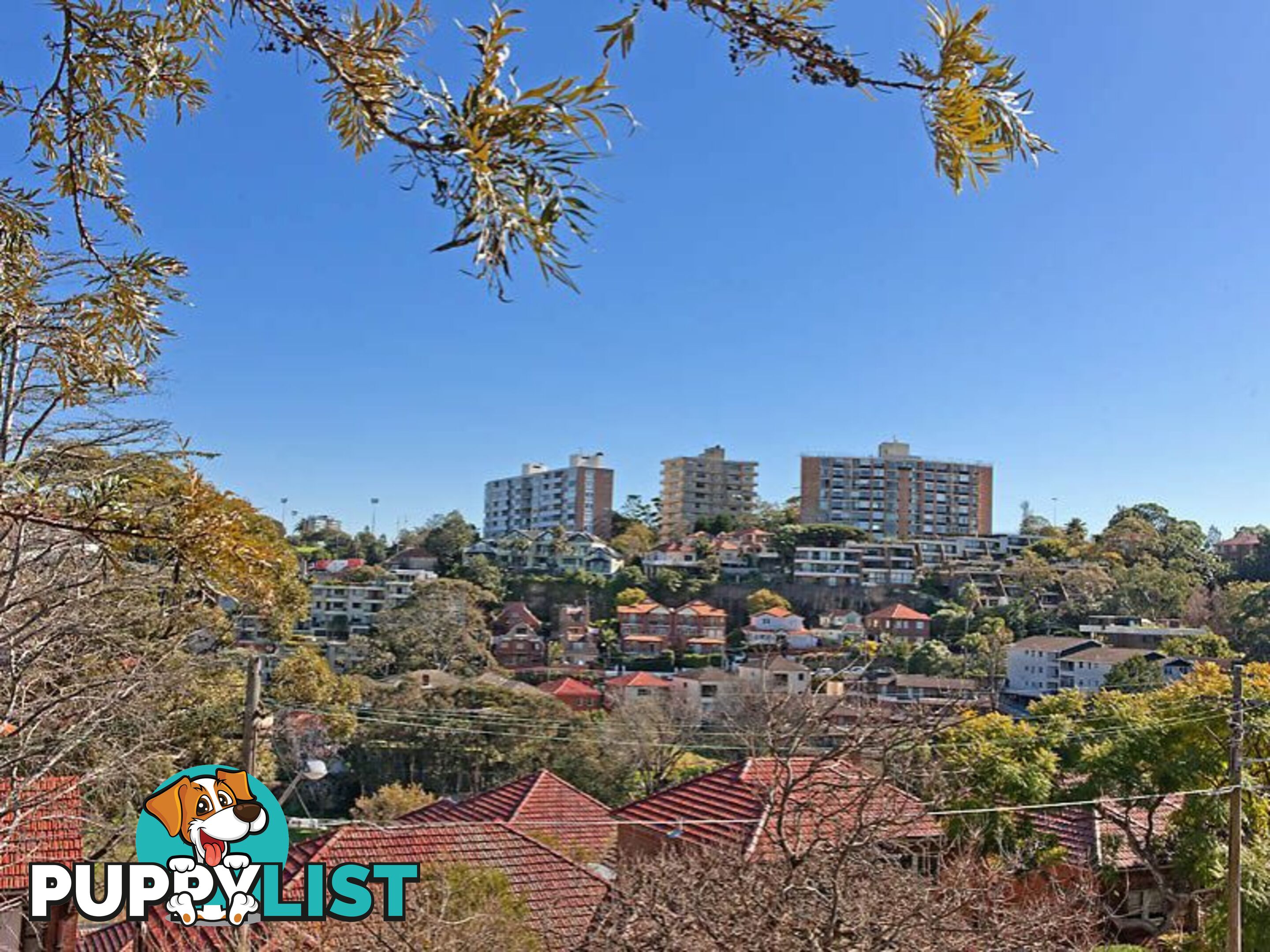 2/9 Premier Street NEUTRAL BAY NSW 2089