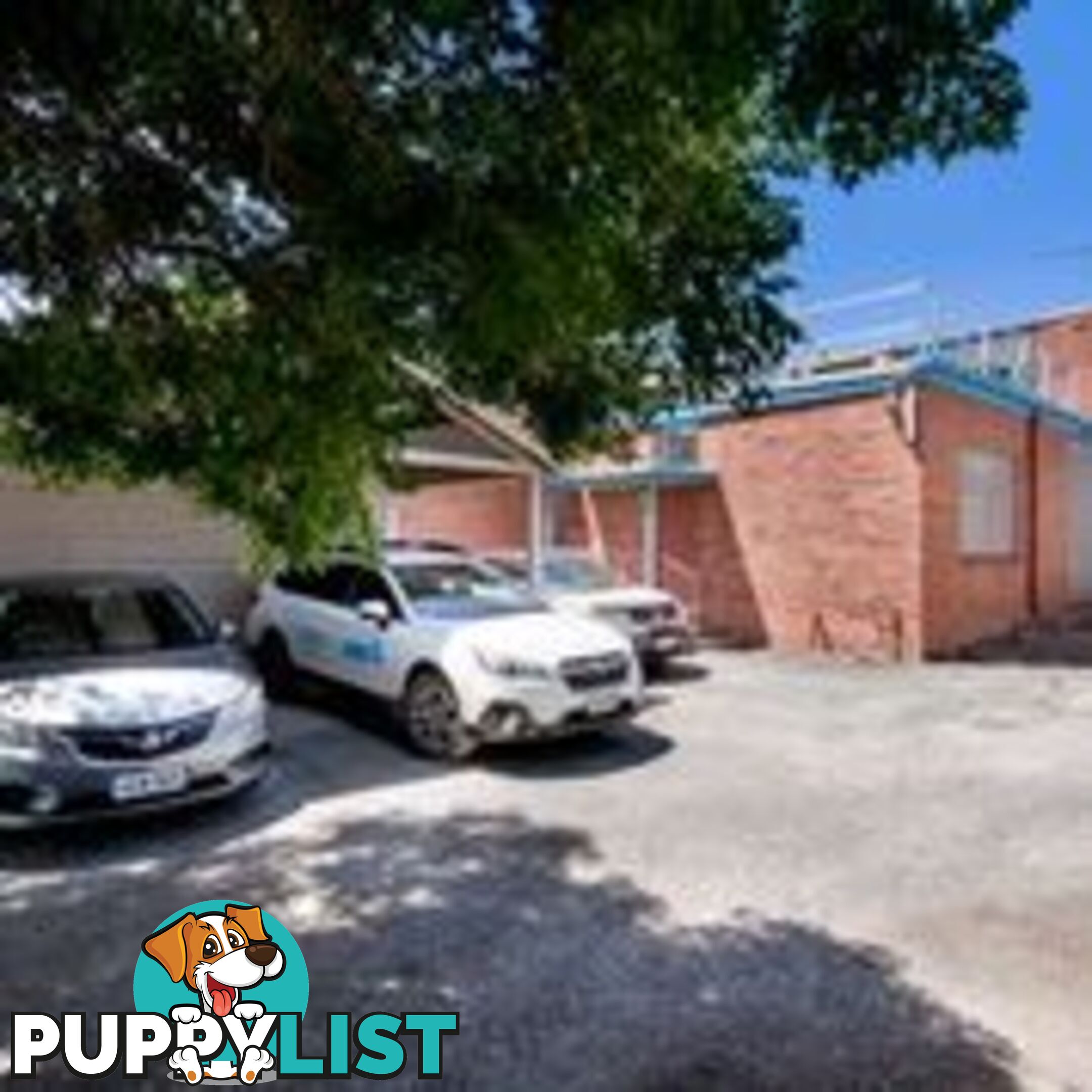 44 Murray Street TANUNDA SA 5352